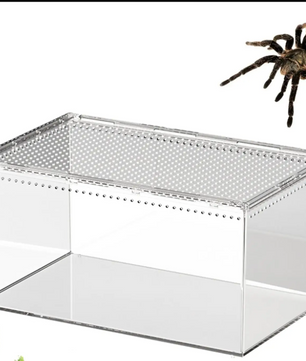 Transparant Reptielen Terrarium – Acryl Behuizing met Ventilatie voor Spin, Gecko, Slang en Kikker