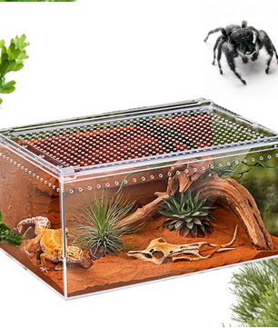 Transparant Reptielen Terrarium – Acryl Behuizing met Ventilatie voor Spin, Gecko, Slang en Kikker