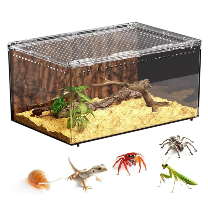 Transparant Reptielen Terrarium – Acryl Behuizing met Ventilatie voor Spin, Gecko, Slang en Kikker