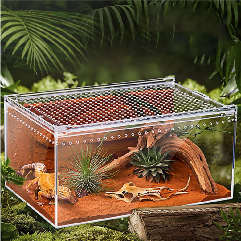 Transparant Reptielen Terrarium – Acryl Behuizing met Ventilatie voor Spin, Gecko, Slang en Kikker