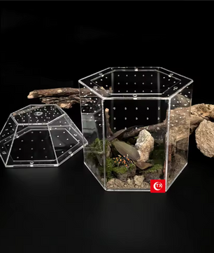 Mini Insecten Terrarium – Transparante Acryl Behuizing met Ventilatie voor Spin, Kikker en Slakken