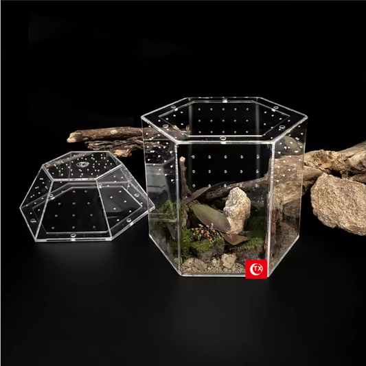 Mini Insecten Terrarium – Transparante Acryl Behuizing met Ventilatie voor Spin, Kikker en Slakken