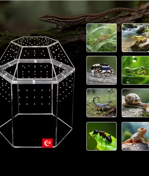 Mini Reptielen Terrarium – Transparante Acryl Kweekbox met Ventilatie voor Spin en Reptielen