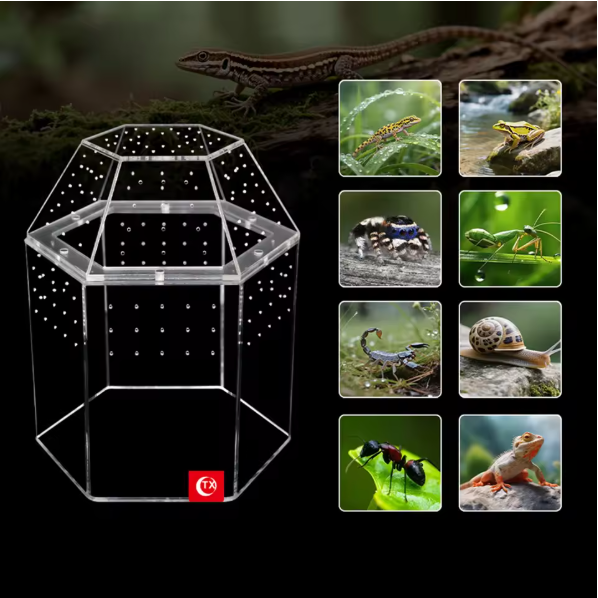 Mini Reptielen Terrarium – Transparante Acryl Kweekbox met Ventilatie voor Spin en Reptielen