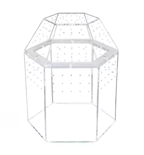 Mini Reptielen Terrarium – Transparante Acryl Kweekbox met Ventilatie voor Spin en Reptielen