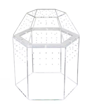 Mini Insecten Terrarium – Transparante Acryl Behuizing met Ventilatie voor Spin, Kikker en Slakken