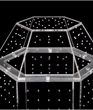 Mini Insecten Terrarium – Transparante Acryl Behuizing met Ventilatie voor Spin, Kikker en Slakken