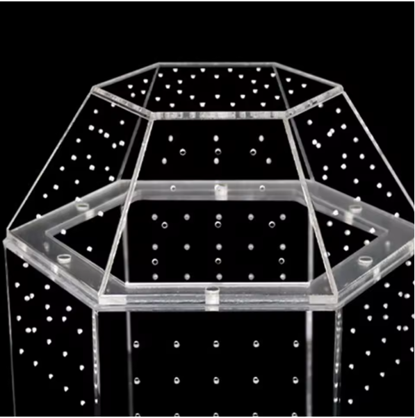 Mini Insecten Terrarium – Transparante Acryl Behuizing met Ventilatie voor Spin, Kikker en Slakken