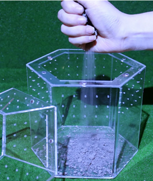 Mini Reptielen Terrarium – Transparante Acryl Kweekbox met Ventilatie voor Spin en Reptielen