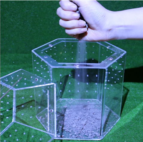 Mini Insecten Terrarium – Transparante Acryl Behuizing met Ventilatie voor Spin, Kikker en Slakken