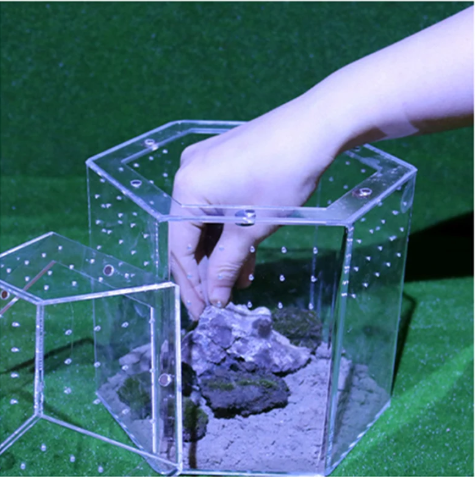 Mini Reptielen Terrarium – Transparante Acryl Kweekbox met Ventilatie voor Spin en Reptielen
