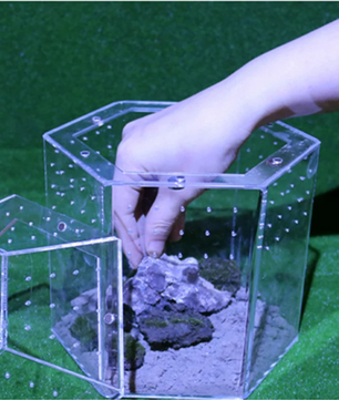 Mini Insecten Terrarium – Transparante Acryl Behuizing met Ventilatie voor Spin, Kikker en Slakken