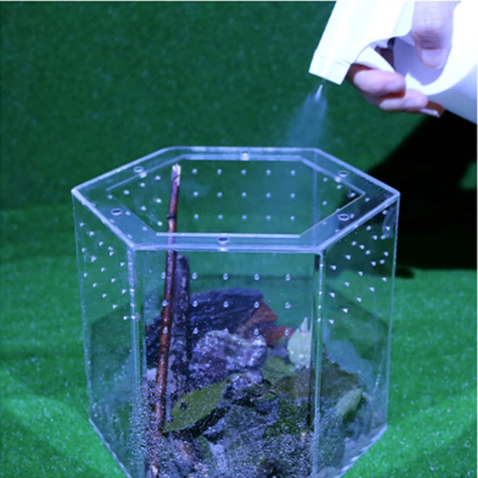 Mini Reptielen Terrarium – Transparante Acryl Kweekbox met Ventilatie voor Spin en Reptielen