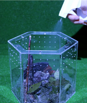 Mini Insecten Terrarium – Transparante Acryl Behuizing met Ventilatie voor Spin, Kikker en Slakken
