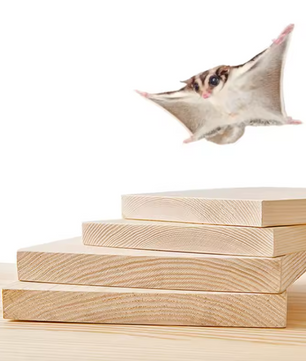 Houten Hamster Platform – Kooi Plateau voor Kleine Dieren