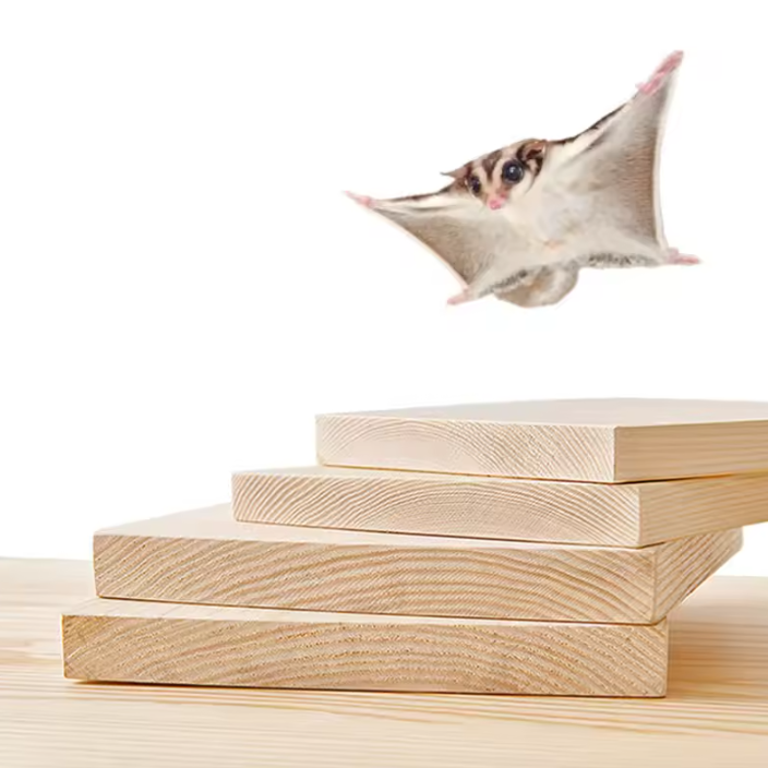 Houten Hamster Platform – Kooi Plateau voor Kleine Dieren