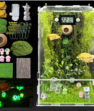 Springspin Terrarium DIY Set – Acryl Behuizing met Ventilatie, Sensor en Accessoires