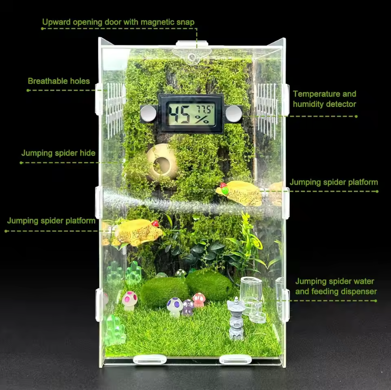 Springspin Terrarium DIY Set – Acryl Behuizing met Ventilatie, Sensor en Accessoires