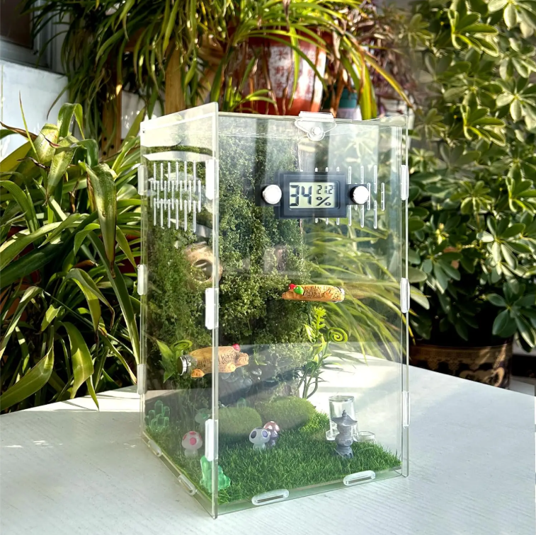 Springspin Terrarium DIY Set – Acryl Behuizing met Ventilatie, Sensor en Accessoires