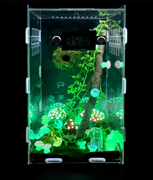 Springspin Terrarium DIY Set – Acryl Behuizing met Ventilatie, Sensor en Accessoires