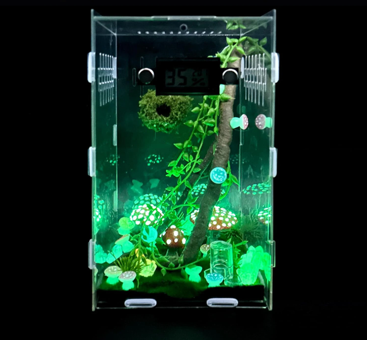 Springspin Terrarium DIY Set – Acryl Behuizing met Ventilatie, Sensor en Accessoires