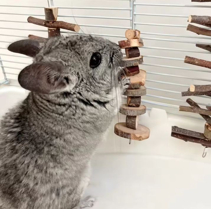 Natuurlijk Houten Kauwspeeltje – Tanden Slijpen Sticks voor Kleine Huisdieren