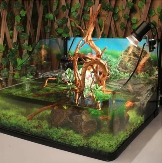 Natuurlijk Drijfhout Aquarium Decoratie – Boomstronk Hout voor Aquascape en Terrarium