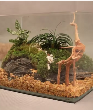 Natuurlijk Drijfhout Aquarium Decoratie – Boomstronk Hout voor Aquascape en Terrarium