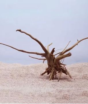 Natuurlijk Drijfhout Aquarium Decoratie – Boomstronk Hout voor Aquascape en Terrarium