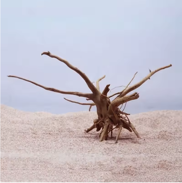 Natuurlijk Drijfhout Aquarium Decoratie – Boomstronk Hout voor Aquascape en Terrarium