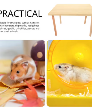 Houten Hamster Klimplatform – Speel- en Rustplek voor Kleine Dieren