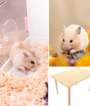 Houten Hamster Klimplatform – Speel- en Rustplek voor Kleine Dieren
