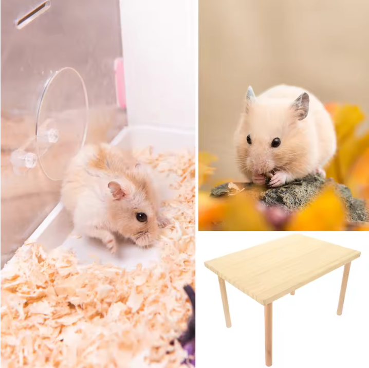 Houten Hamster Klimplatform – Speel- en Rustplek voor Kleine Dieren