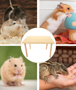 Houten Hamster Klimplatform – Speel- en Rustplek voor Kleine Dieren