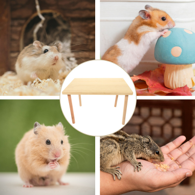 Houten Hamster Klimplatform – Speel- en Rustplek voor Kleine Dieren