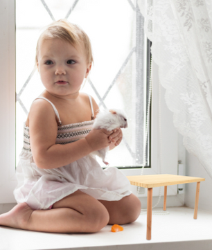 Houten Hamster Klimplatform – Speel- en Rustplek voor Kleine Dieren