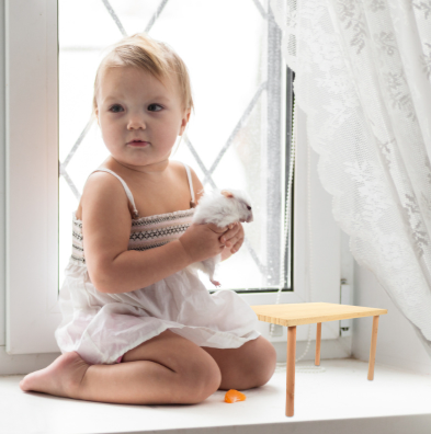 Houten Hamster Klimplatform – Speel- en Rustplek voor Kleine Dieren