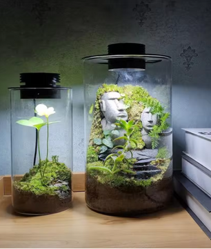 Dimbare USB Kweeklamp – LED Groeilamp met Timer voor Terrarium en Planten