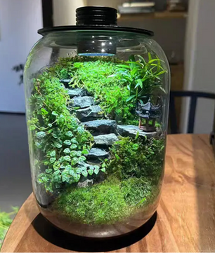 Dimbare USB Kweeklamp – LED Groeilamp met Timer voor Terrarium en Planten