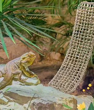 Reptielen Hangmat – Comfortabele Lounger voor Hagedissen, Gecko en Slangen