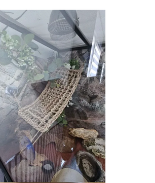 Reptielen Hangmat – Comfortabele Lounger voor Hagedissen, Gecko en Slangen