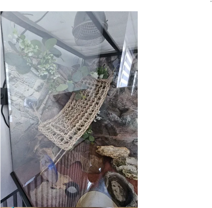 Reptielen Hangmat – Comfortabele Lounger voor Hagedissen, Gecko en Slangen