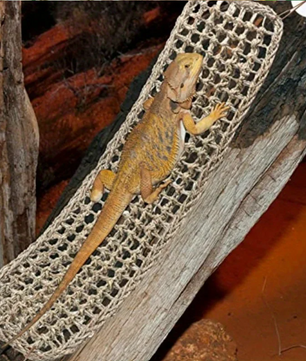Reptielen Hangmat – Comfortabele Lounger voor Hagedissen, Gecko en Slangen