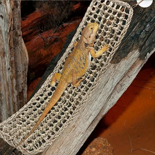 Reptielen Hangmat – Comfortabele Lounger voor Hagedissen, Gecko en Slangen