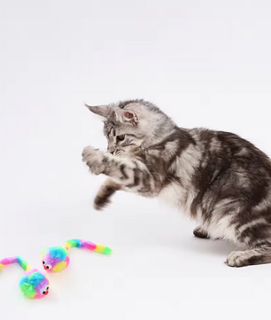 Regenboog Pluche Ratten Speeltje – Duurzaam Kattenspeelgoed