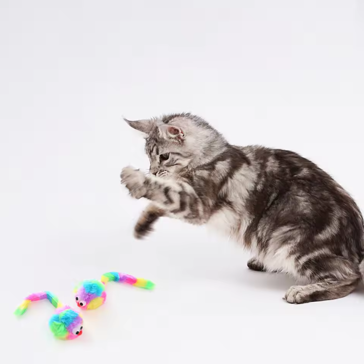 Regenboog Pluche Ratten Speeltje – Duurzaam Kattenspeelgoed