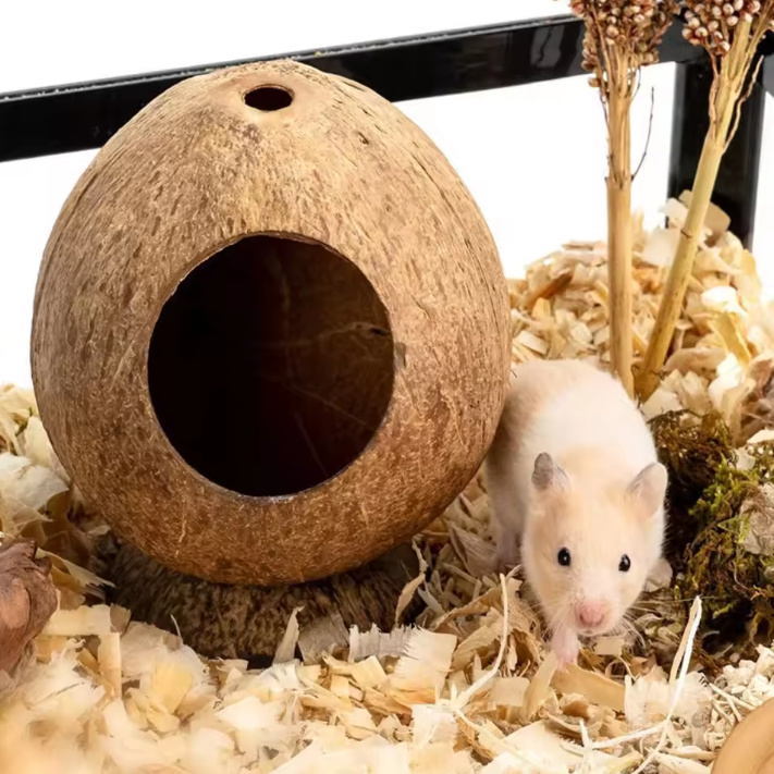 Kokosnoot Hamster Huis – Natuurlijk Nest en Schuilplaats voor Kleine Dieren