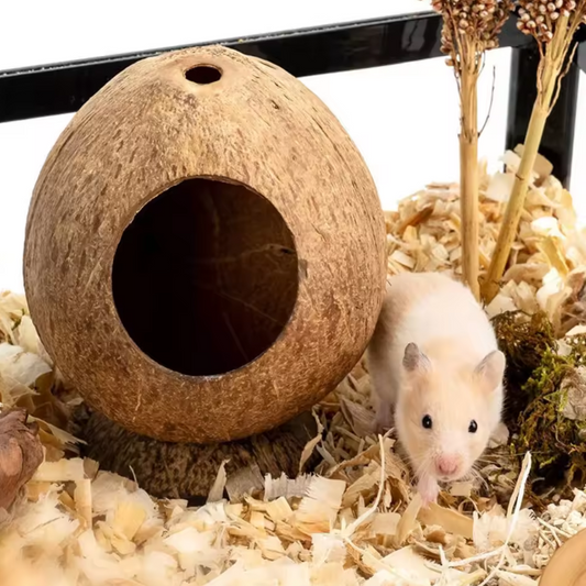 Kokosnoot Hamster Huis – Natuurlijk Nest en Schuilplaats voor Kleine Dieren
