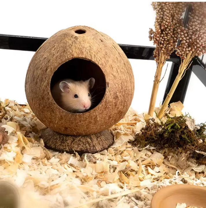 Kokosnoot Hamster Huis – Natuurlijk Nest en Schuilplaats voor Kleine Dieren