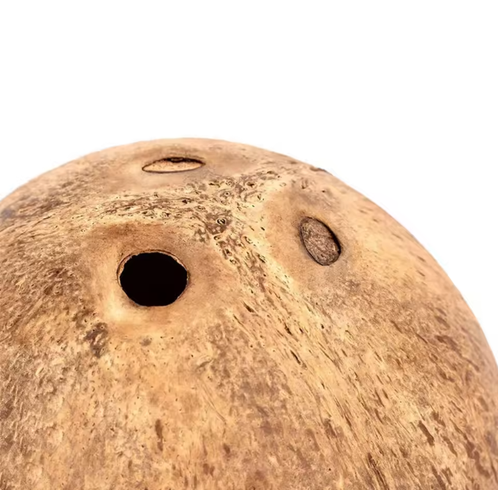 Kokosnoot Hamster Huis – Natuurlijk Nest en Schuilplaats voor Kleine Dieren